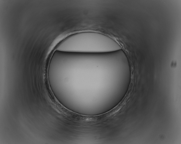 X0000091180056200708231538