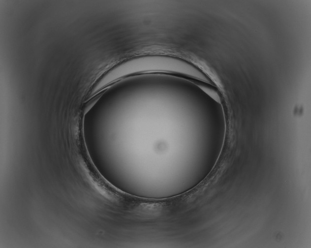 X0000091180057200708231538