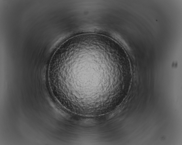 X0000091180058200708231538