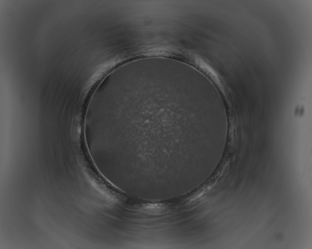 X0000091180059200708231538