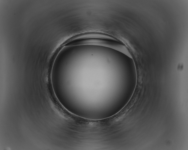 X0000091180060200708231538