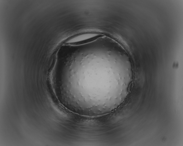 X0000091180063200708231538