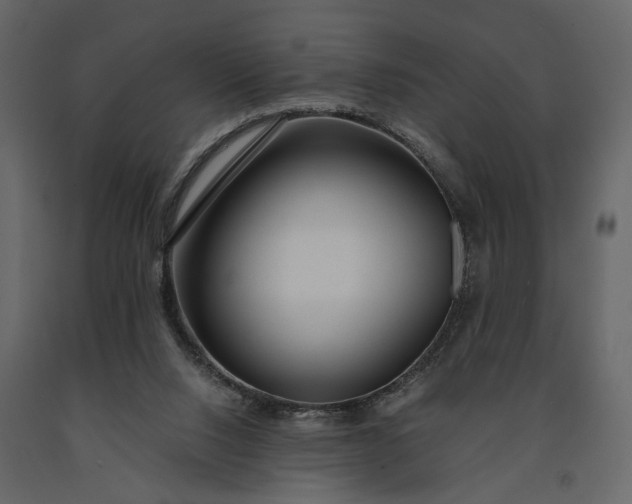 X0000091180064200708231538