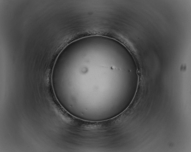 X0000091180065200708231538