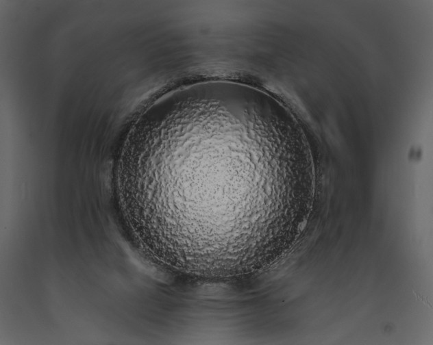 X0000091180066200708231538