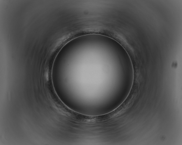 X0000091180068200708231538