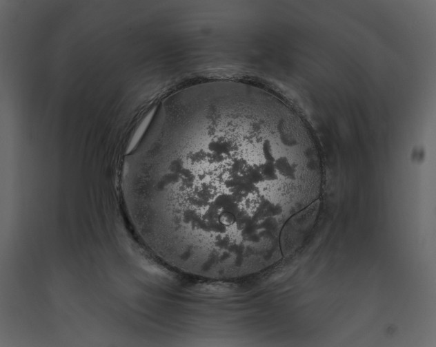 X0000091180069200708231538