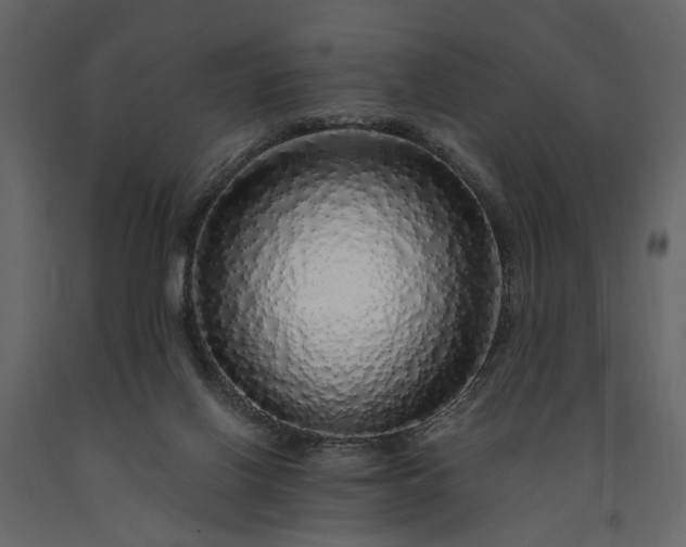 X0000091180070200708231538