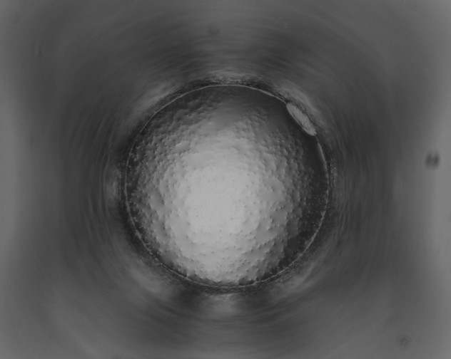 X0000091180071200708231538