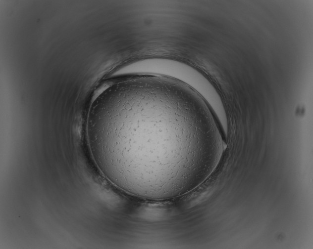 X0000091180072200708231538