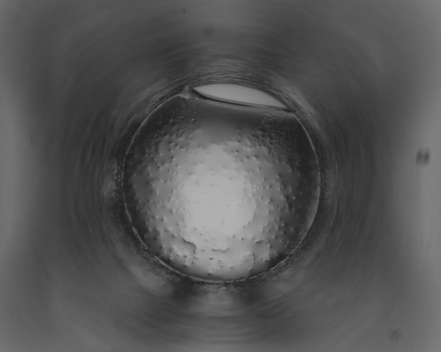 X0000091180073200708231538