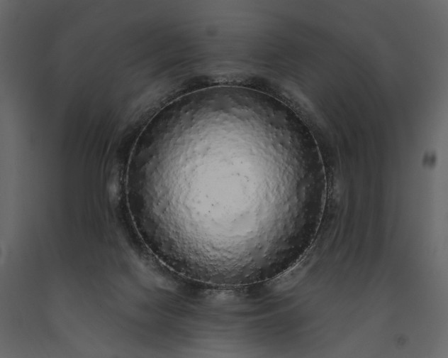 X0000091180074200708231538