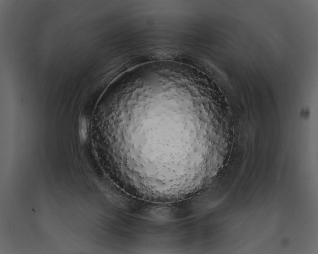 X0000091180075200708231538