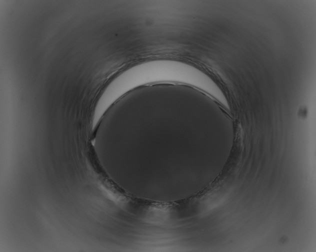 X0000091180076200708231538