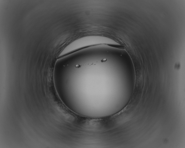 X0000091180078200708231538