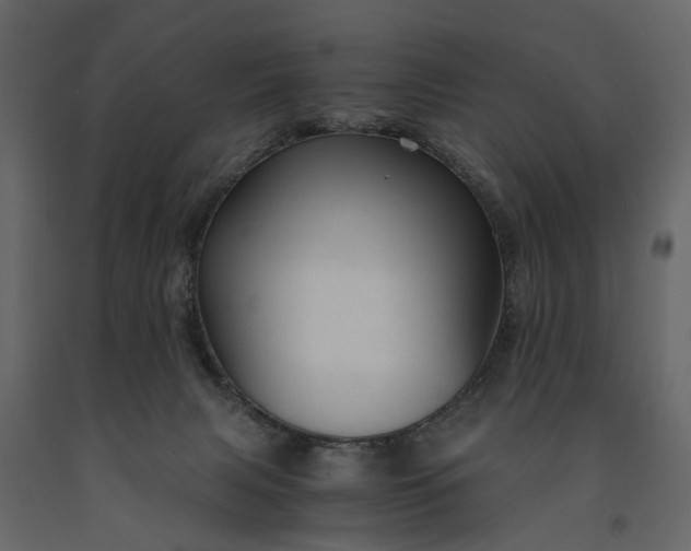 X0000091180079200708231538