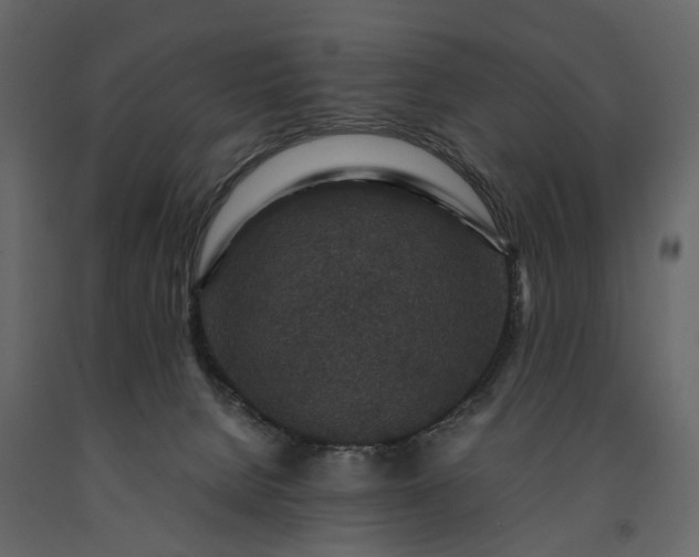 X0000091180080200708231538