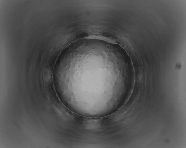 X0000091180081200708231538