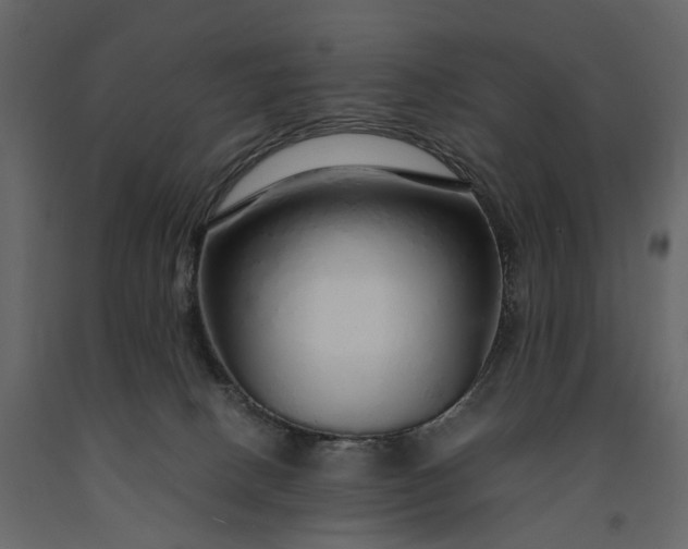 X0000091180082200708231538