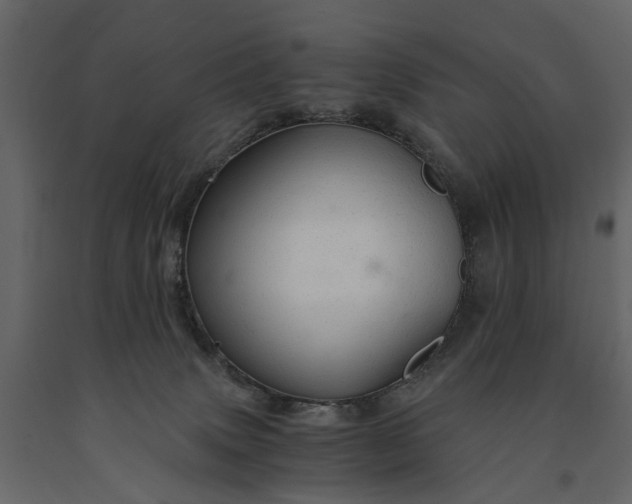 X0000091180083200708231538