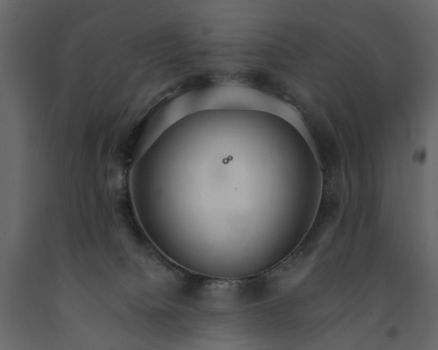 X0000091180084200708231538