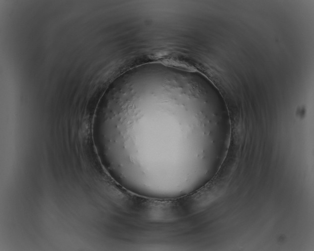 X0000091180085200708231538