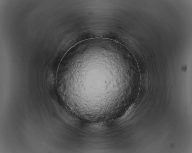 X0000091180086200708231538