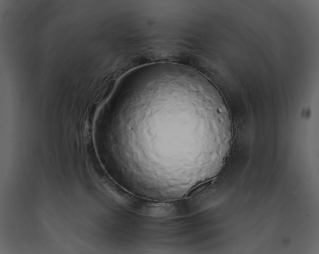 X0000091180087200708231538