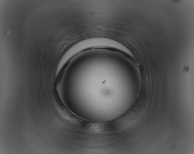 X0000091180088200708231538