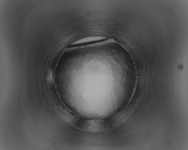 X0000091180089200708231538