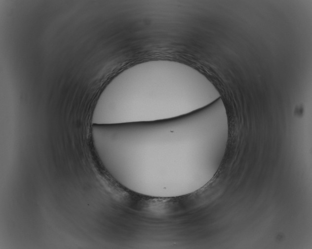 X0000091180090200708231538