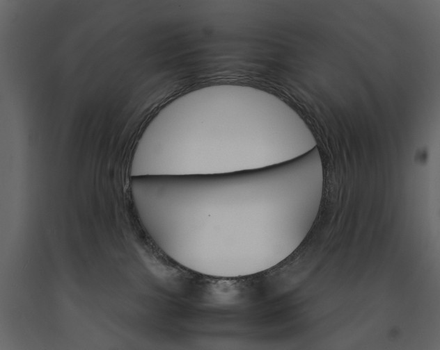 X0000091180091200708231538