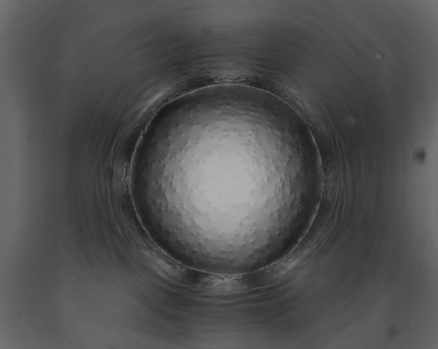 X0000091180093200708231538