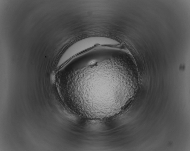 X0000091180095200708231538