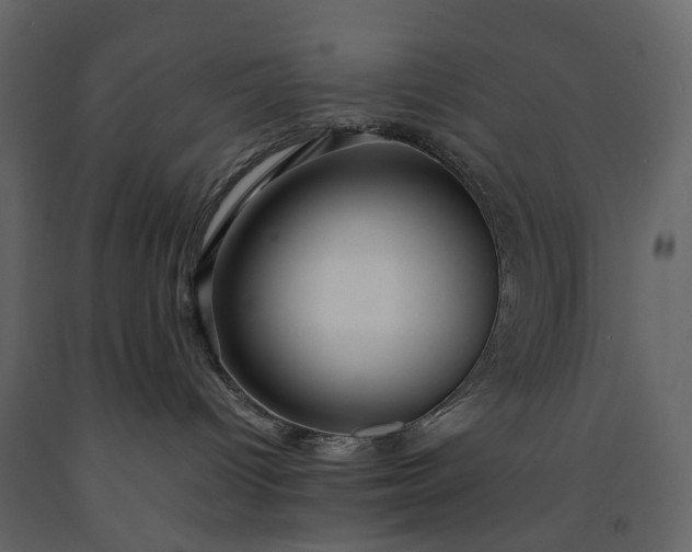 X0000091180096200708231538