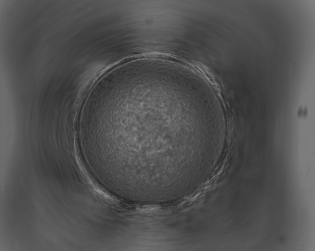 X0000091180097200708231538