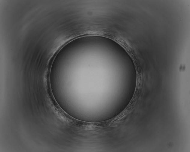 X0000091180098200708231538