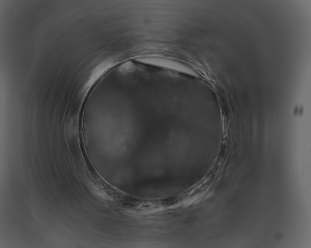 X0000091180099200708231538