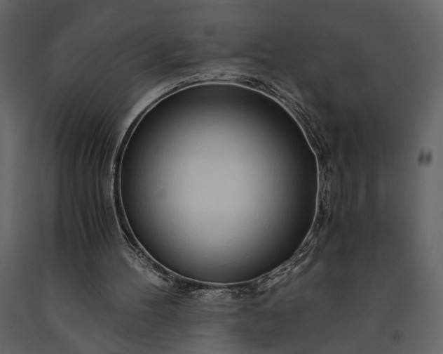 X0000091180100200708231538