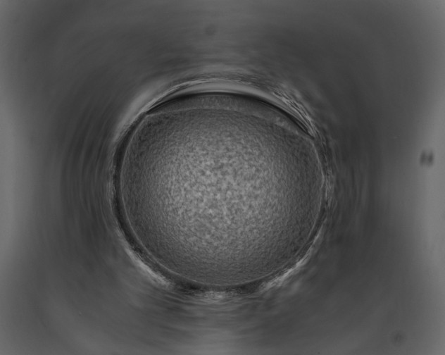 X0000091180101200708231538