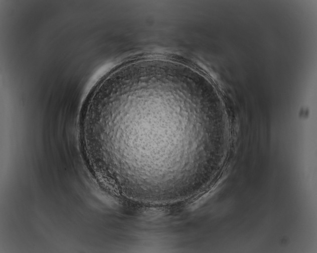 X0000091180102200708231538