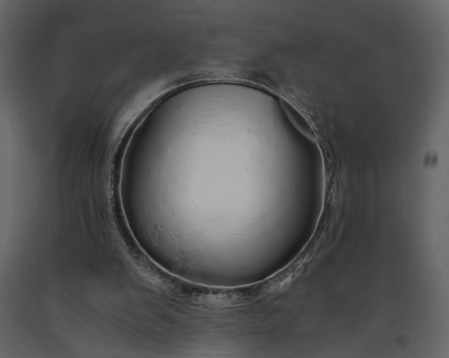 X0000091180103200708231538