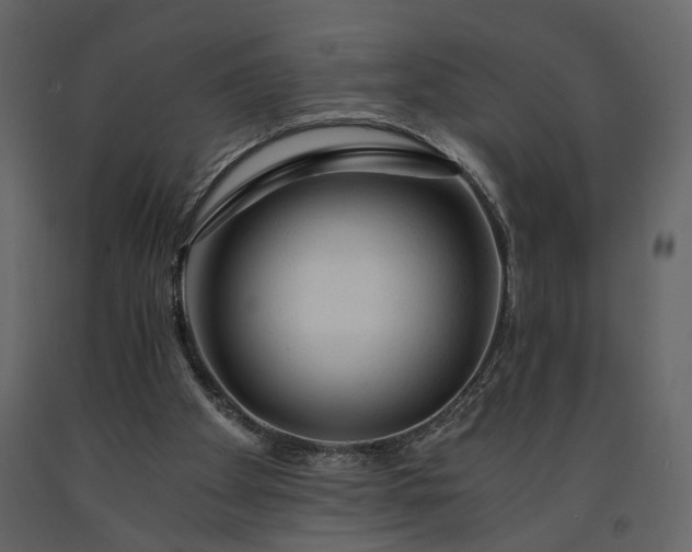 X0000091180105200708231538