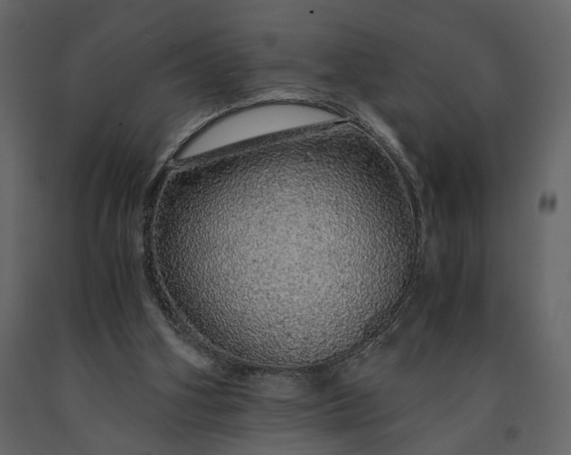 X0000091180106200708231538