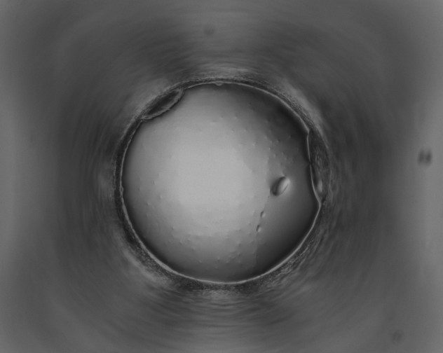 X0000091180107200708231538