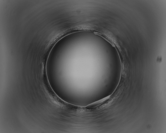 X0000091180109200708231538