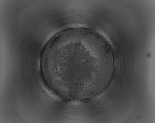 X0000091180110200708231538