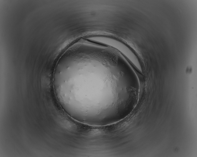 X0000091180111200708231538