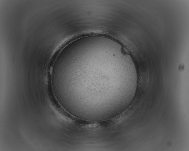 X0000091180112200708231538