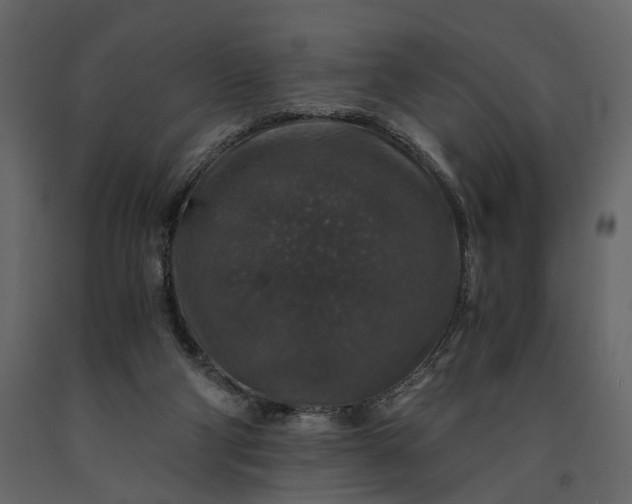 X0000091180114200708231538